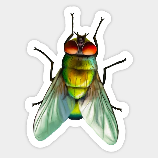 Your household fly. Can be annoying, but is surprisingly colourful. With beautiful metallic hues of green, gold and blue Sticker by PlumpPlumStudio